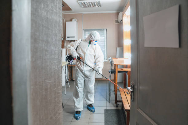 Best Comprehensive Air Testing for Mold Contaminants  in Sterling City, TX