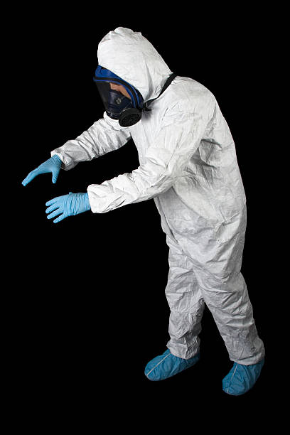 Best Basement Mold Removal  in Sterling City, TX